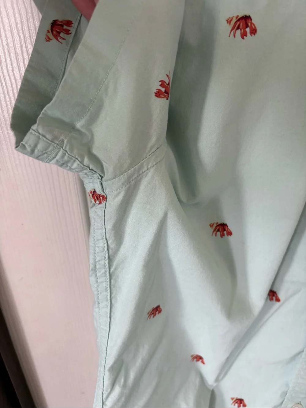 J. Crew Mint Short-Sleeve Button-Down Shirt with Red Embroidery